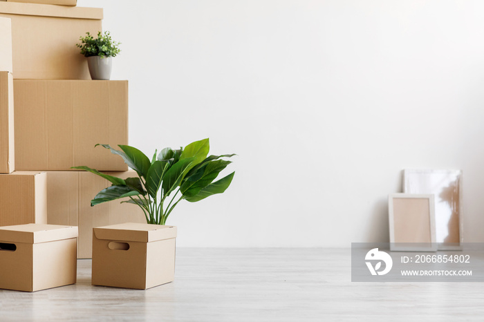 Stack of different cardboard boxes with belongings and green plants in pots on floor