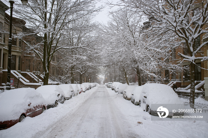 Snow Covered Road