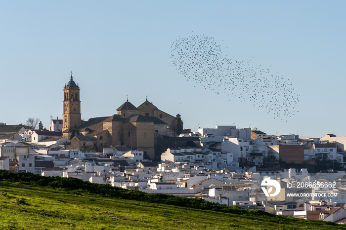 Rural village with white houses and big church in the south of Spain. Montilla, Córdoba, Spain.