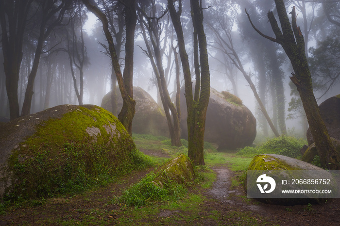 A path in the forest with mossy rocks and trees with fog in Sintra moutain.