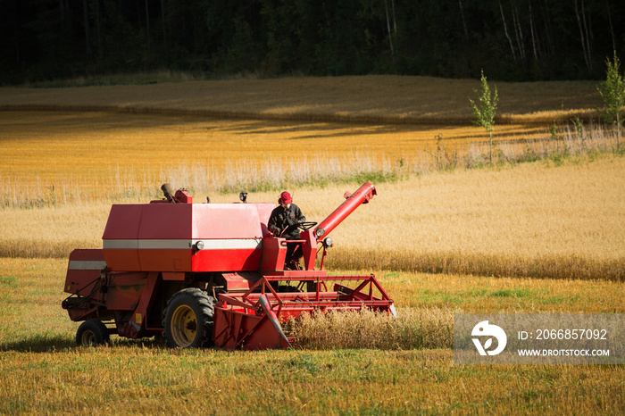 Combine harvester on a field