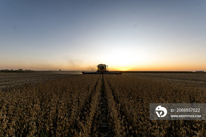 Threshing in the calm of the evening