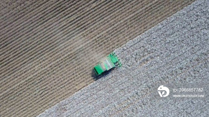 Large six row Baler Cotton picker working in a Cotton field - Aerial image