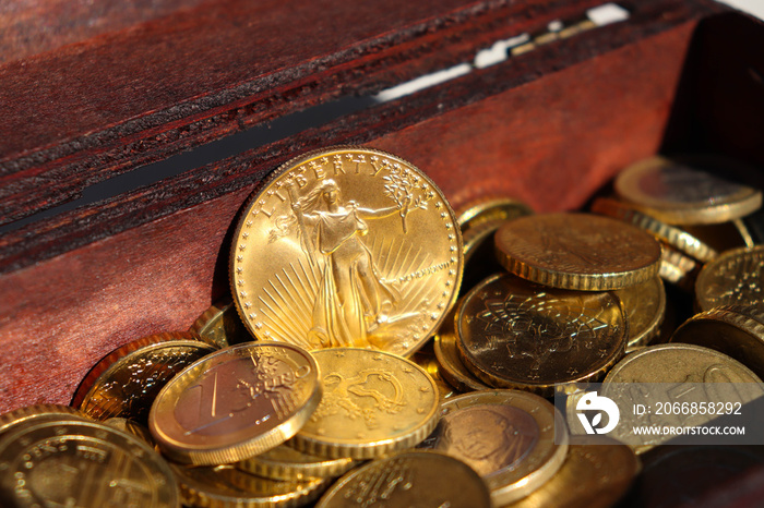 Closeup of the famous 1oz 50 Dollars Gold American Eagle bullion collection coin. Year 1987