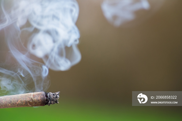 Burnt Joint White Smoke Weed Cannabis Tobacco Closeup