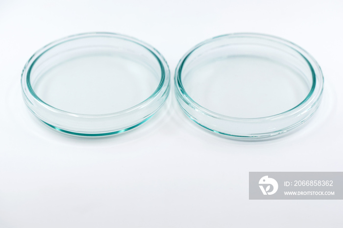 Empty glass Petri dishes on white background