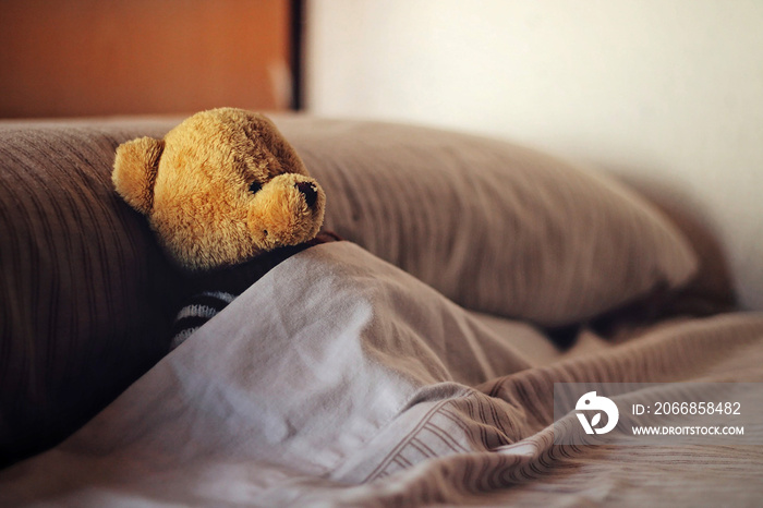 Teddy bear covered in bed.