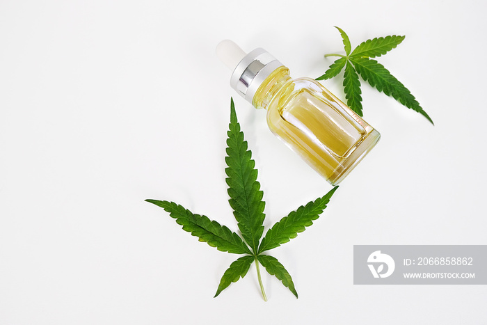 Cannabis oil and leaves isolate on white background.cannabis CBD oil herb products.