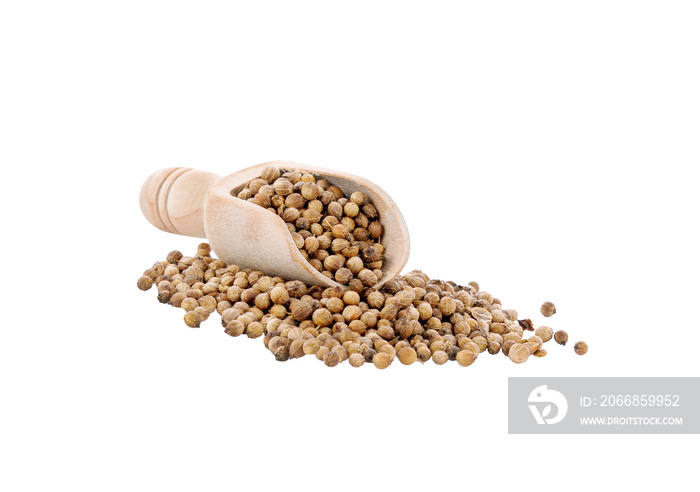 coriander seeds ,   isolated  on transparent png