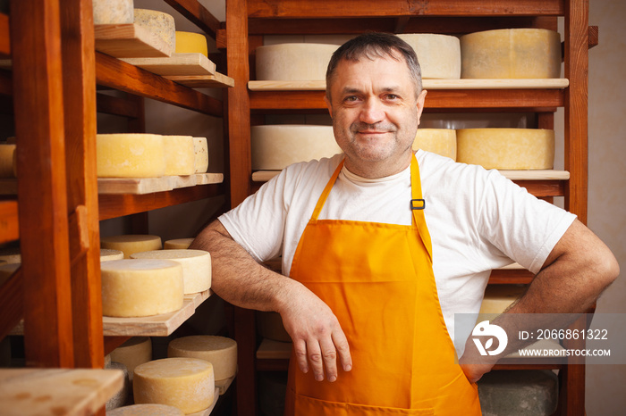 man cheesemaker in the cellar, beautiful wooden shelves with a ready cheese circle, ripening. Cheese production, home basement, indoor. Private entrepreneur.