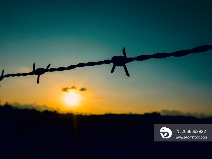 Barbed wire against the blue sky. The concept of freedom or proson..