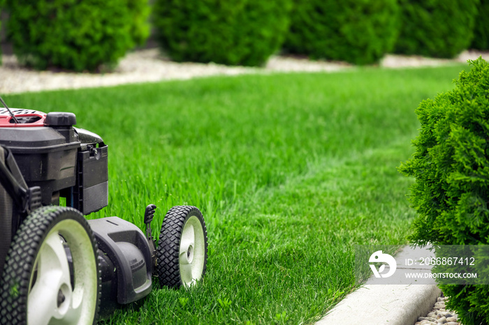 Lawn mower cutting green grass in backyard, mowing lawn