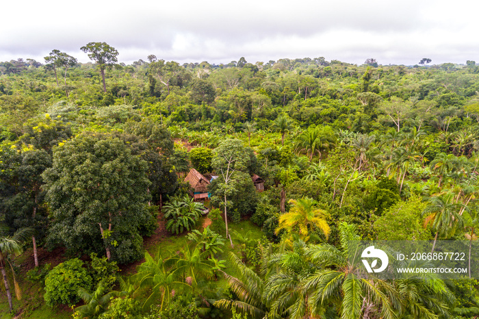 Amazon Agroforestry Parcel/Land with a Variety of Tropical Crops a Bananas, Brazil Nuts, Copoazu, Papaya, Pineapple, Yuca and More