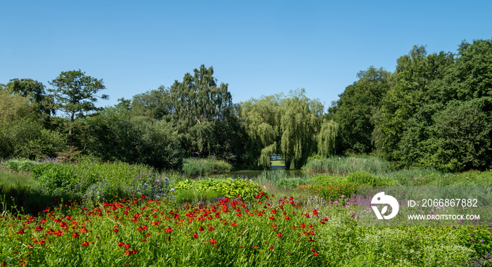 Millennium Garden at Pensthorpe Natural Park, designed by Piet Oudolf, in Fakenham, North Norfolk. The garden is planted in naturalistic style.