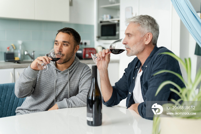 Male couple drinking red wine at home