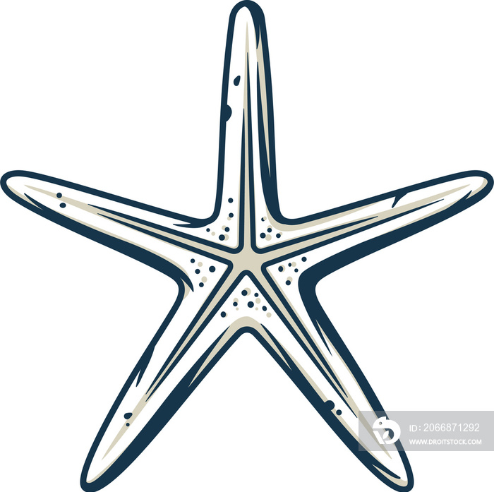 Shape of underwater tropical exotic starfish for design.