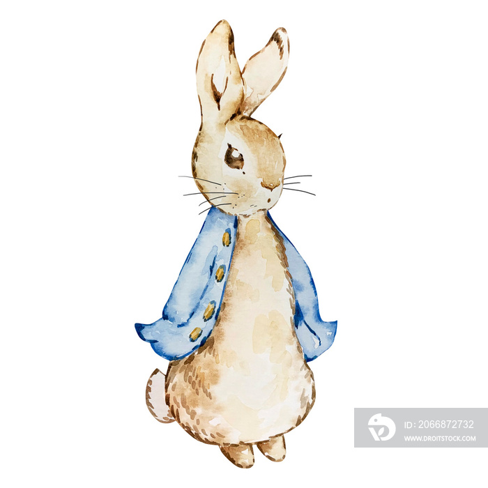 Watercolor cute rabbit in a blue jacket