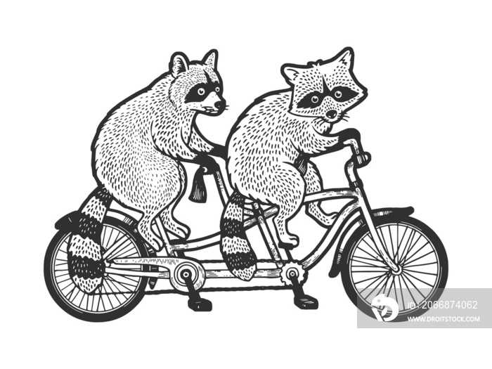 raccoons ride tandem bike sketch raster