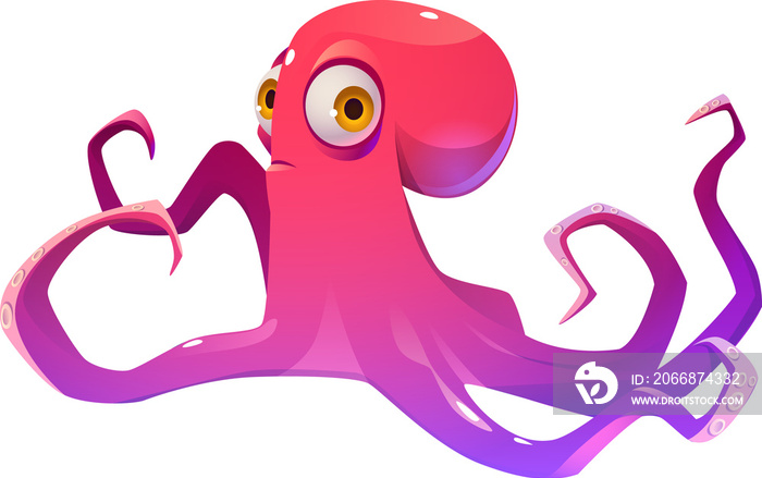 Octopus