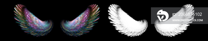 Colorful bird wings with white clipping mask
