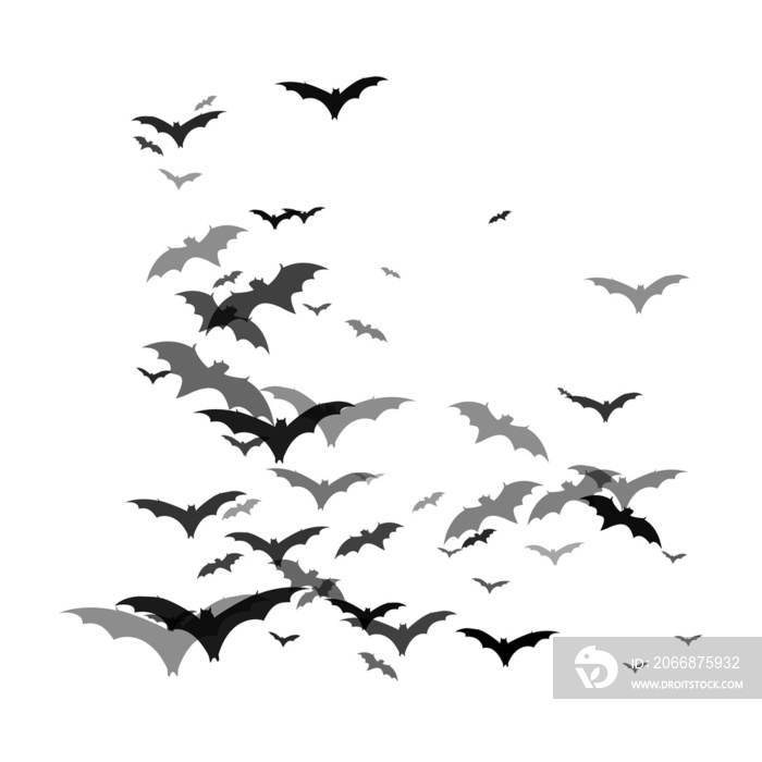 Bat PNG Format With Transparent Background