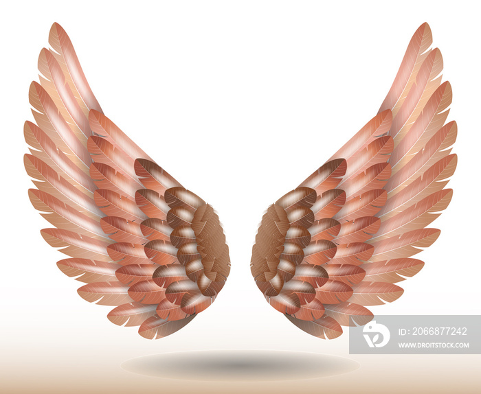 realistic rainbow angel wings isolated - 3d illustration