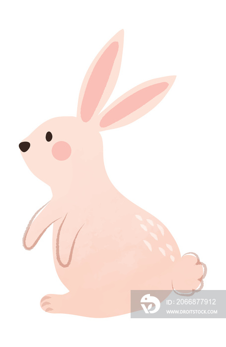 Watercolor cute rabbit