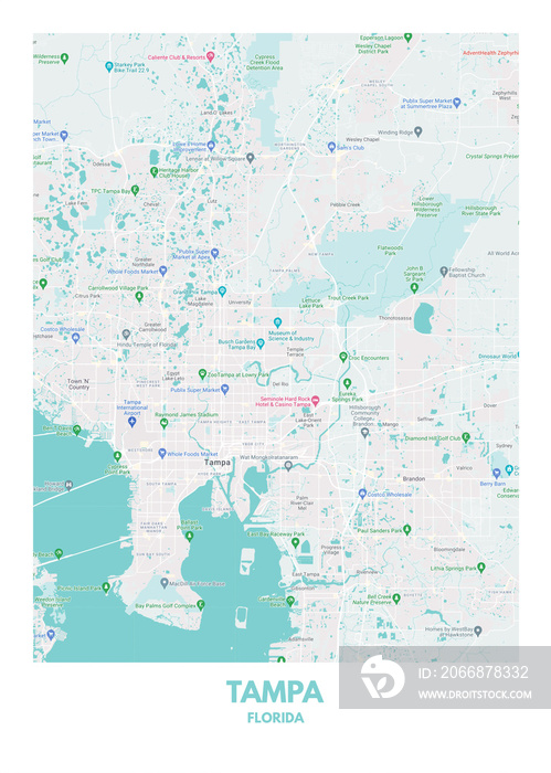 Poster Tampa - Florida map. Road map. Illustration of Tampa - Florida streets. Transportation network. Printable poster format.