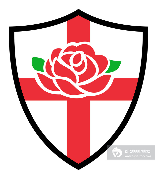 Illustration of a red English rose with flag of England inside shield