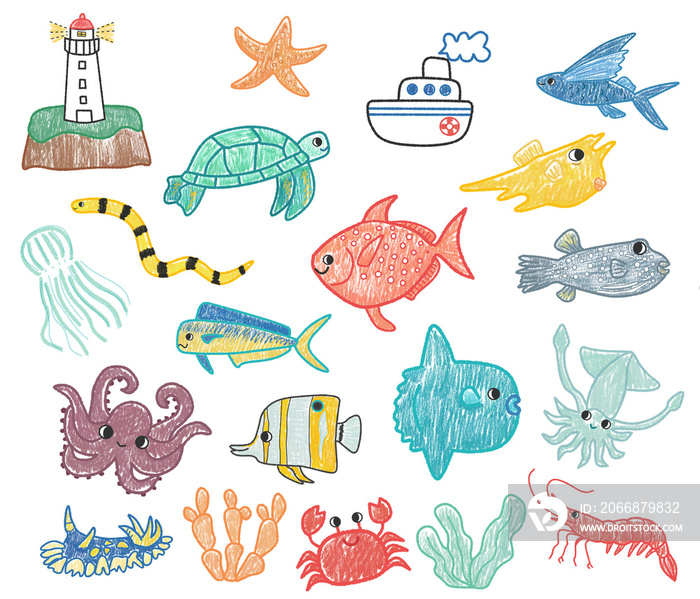 Ocean doodle hand drawn clip art. Set of cute under the sea doodle. Marine life doodle set.