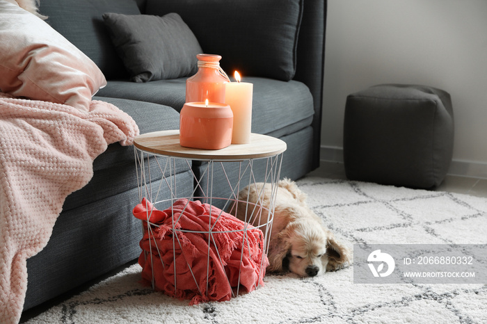 Cute dog near table with burning candles in room