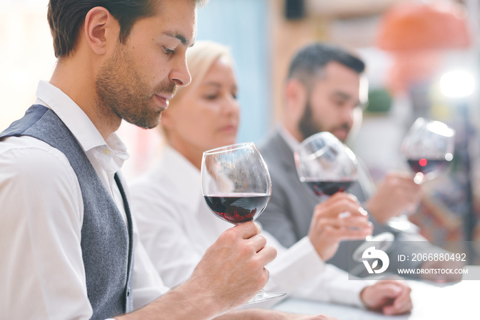 Young elegant winery expert or winemaker evaluating color and smell of wine