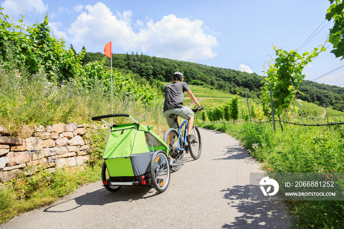 Young Parent Cycling Through Vineyards With Bike Trailer