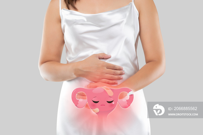 Illustration of the uterus is on the woman’s body.