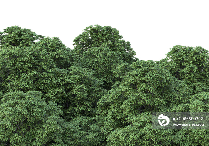 Realistic forest island on transparent background. 3d rendering -