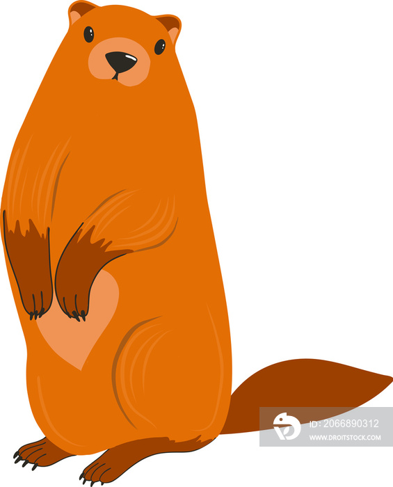 Groundhog Day. Groundhog character. Beaver or gopher.Flat cartoon style.Weather forecaster.