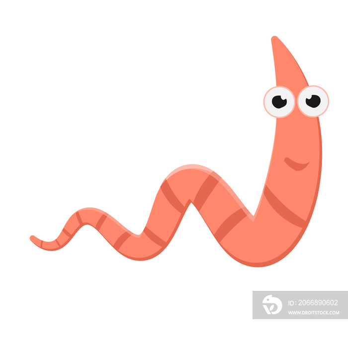 worm vector png