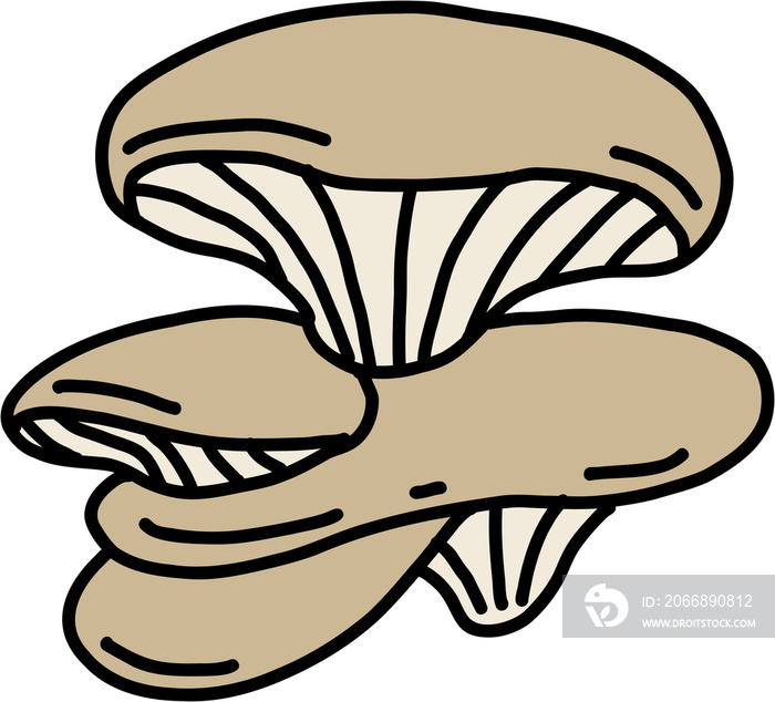 doodle freehand sketch drawing of oyster mushroom vegetable.