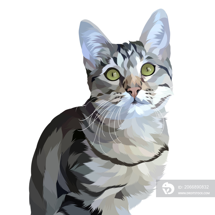 Animal vector illustration