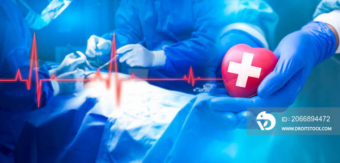 Doctor hands holding red heart with cardiogram,health care, love and family insurance and life insurance, love and charity concept, world heart day.Doctor or surgeon holding a Heart.