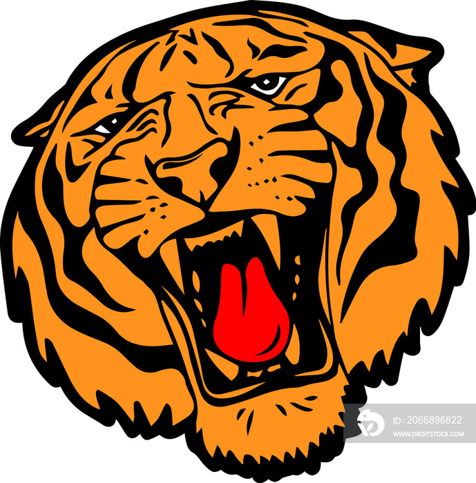 tiger head vector