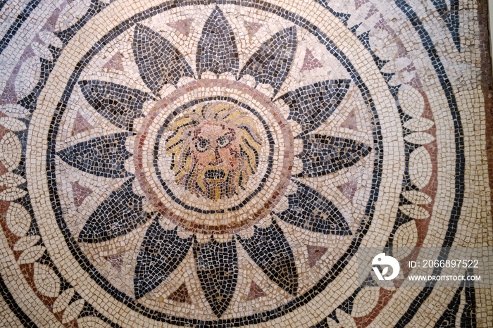 Mask of Phobos whitin a radiating petal design, 4th century AD, from Helicarnassus, British museum, London, England, Great Britain