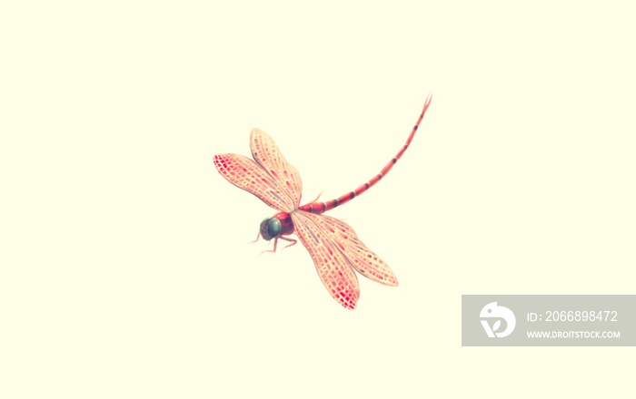 flying red dragonfly isolated on a white background