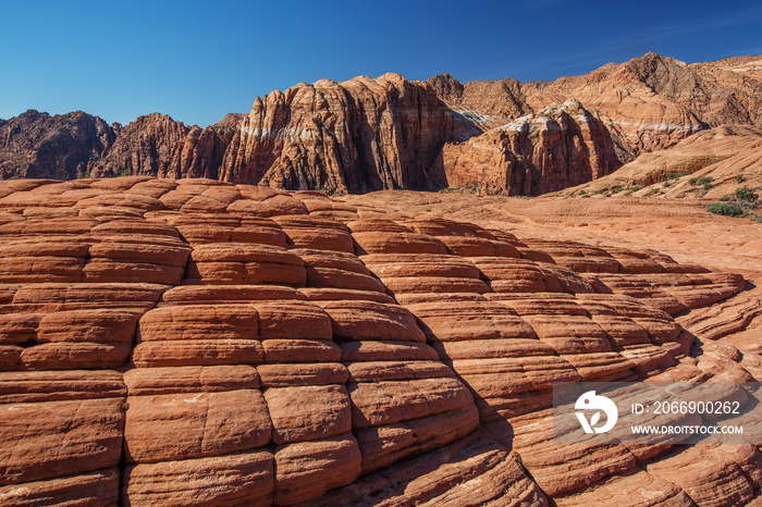 Snow canyon State Park in Utah, USA