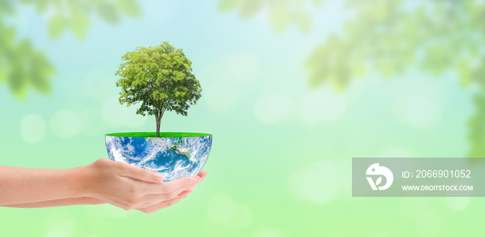 Ecology and Conservation Concept : Woman hand holding green tree growth on planet earth globe with green natural in background. (Elements of this image furnished by NASA.)