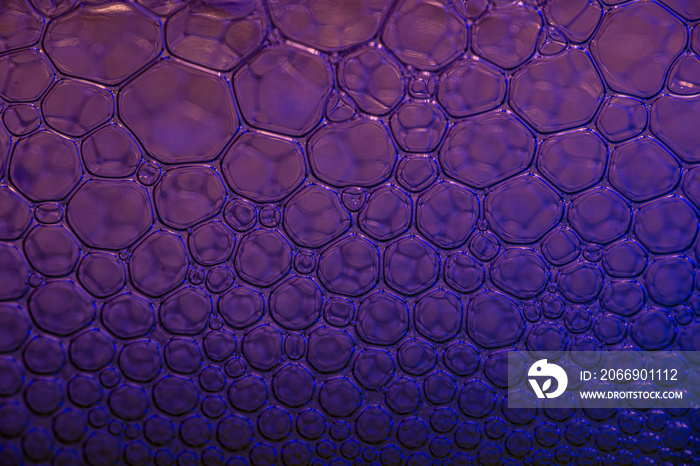 Bluish, purple dark circular shapes, bubbles as background texture