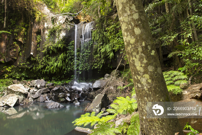 Curtis Falls Waterfall in Mount Tambourine