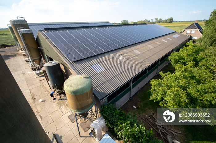 Modern farm with solar panels on the roof of a cowshed