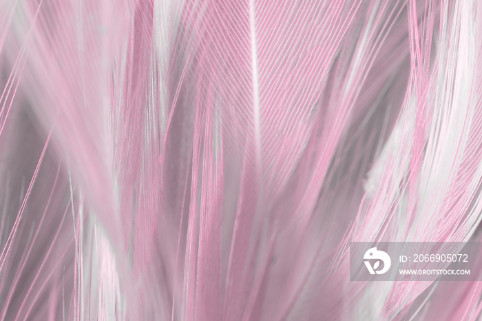 Violet feather pattern texture background , pastel color style