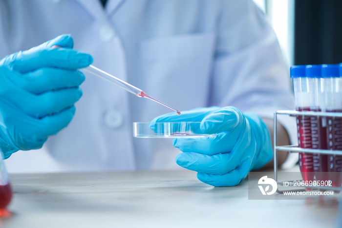 Pipette dropping a sample into a test tube, closeup